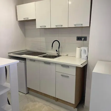 公寓 Studio Apartman 普洛切